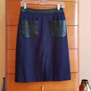 Ann Taylor A-line Skirt